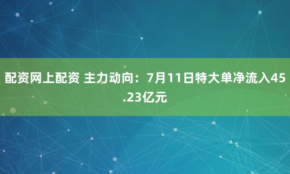 配资网上配资 主力动向：7月11日特大单净流入45.23亿元