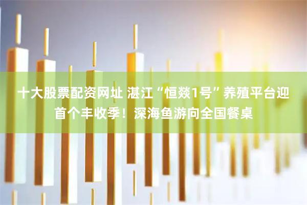 十大股票配资网址 湛江“恒燚1号”养殖平台迎首个丰收季！深海鱼游向全国餐桌