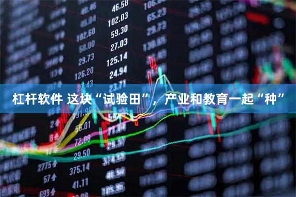 杠杆软件 这块“试验田”，产业和教育一起“种”